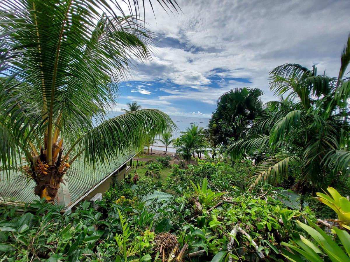 Casita Genesis - Bahia Drake Bay Leilighet Eksteriør bilde