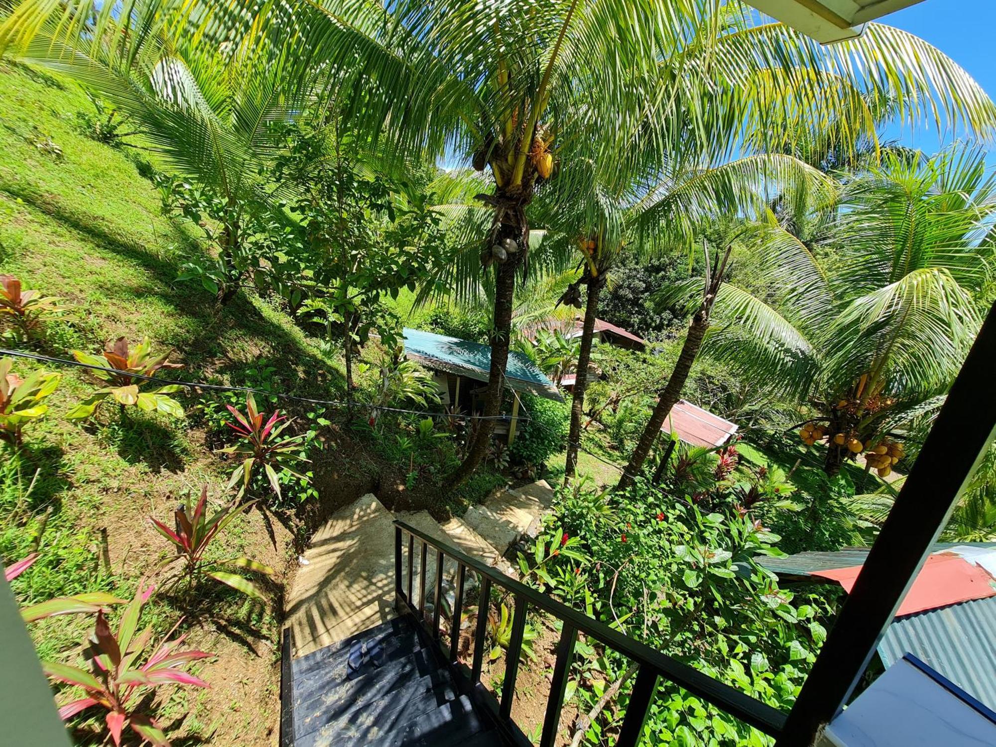 Casita Genesis - Bahia Drake Bay Leilighet Rom bilde