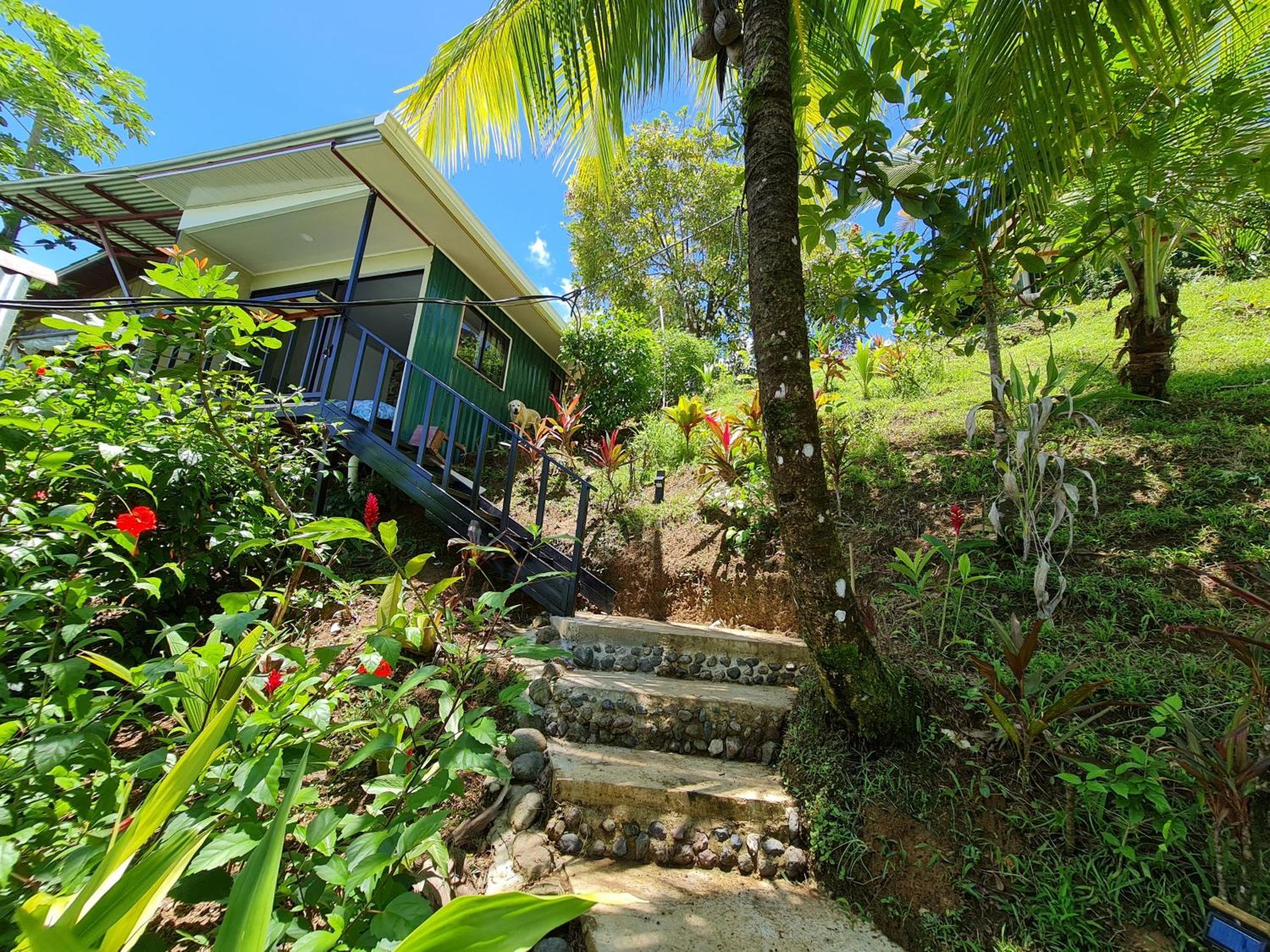 Casita Genesis - Bahia Drake Bay Leilighet Rom bilde